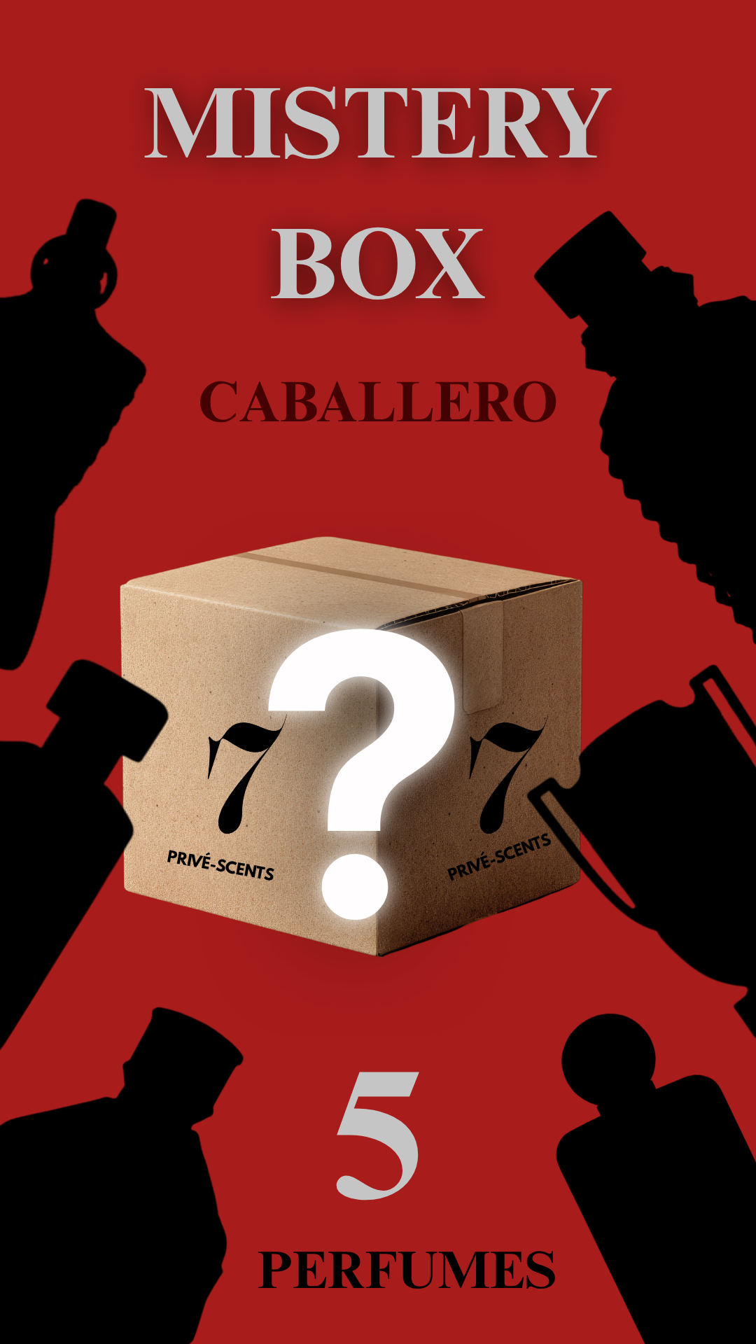 MISTERY BOX CABALLERO